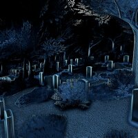 Perception Update Download