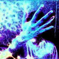 PHYSARUM: Slime Mold Simulator PC Crack