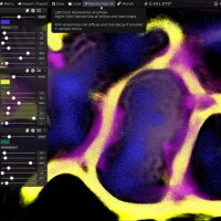 PHYSARUM: Slime Mold Simulator Repack Download