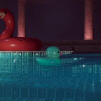 Placid Plastic Duck Simulator Update Download