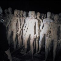 Post Trauma Update Download