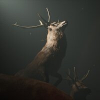 Project 13: Taxidermy Trails Torrent Download