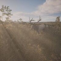 PROJECT HUNT - LONE STAR HUNTING RANCH Torrent Download
