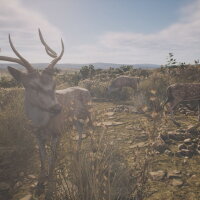 PROJECT HUNT - LONE STAR HUNTING RANCH PC Crack