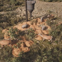 PROJECT HUNT - LONE STAR HUNTING RANCH Repack Download