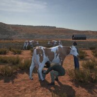 Ranch Simulator: Southwest Ranch & Farm Expansion Pack Repack Download