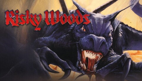 Risky Woods Free Download