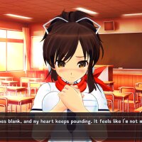 SENRAN KAGURA Reflexions Repack Download