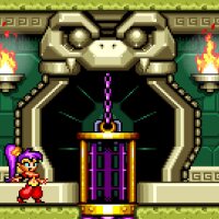 Shantae Advance: Risky Revolution PC Crack