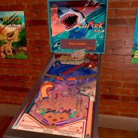 Shark Pinball PC Crack