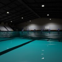Sharks and Minnows Torrent Download