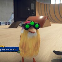 SkateBIRD Crack Download