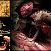Sniper Elite 3 Update Download