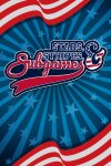 Stars, Stripes, and Subgames Free Download