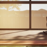 Still It Runs Torrent Download