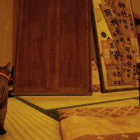 Still It Runs Crack Download