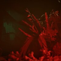 Still Wakes the Deep: Siren’s Rest Crack Download
