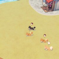 STORY OF SEASONS: Pioneers of Olive Town Update Download