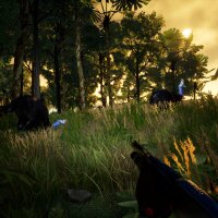 Straya Update Download