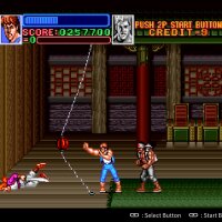 Super Double Dragon Crack Download