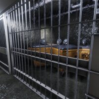 Synthetic Captive PC Crack