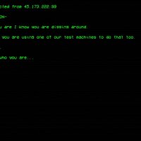 TERMINAL22 Update Download
