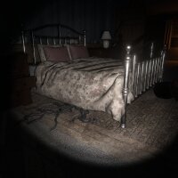 The Echo Paradox Update Download