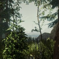 The Forest Repack Download