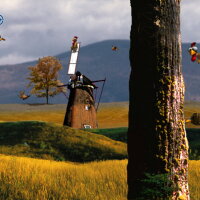 The Original Moorhuhn Hunt Repack Download
