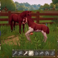 The Ranch of Rivershine Repack Download