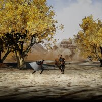 the Shadow of Swallow Repack Download
