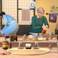The Sims™ 4 Bathroom Clutter Kit Torrent Download