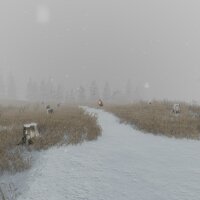 The Whisperer | Le murmureur Repack Download