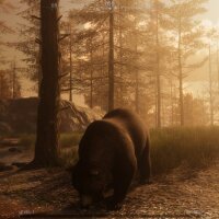 The WILDS PC Crack