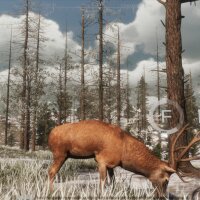 The WILDS Repack Download