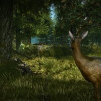 The Witcher 2: Assassins of Kings Enhanced Edition PC Crack