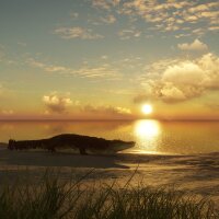 theHunter: Call of the Wild™ - Emerald Coast Australia PC Crack