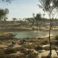 theHunter: Call of the Wild™ - Emerald Coast Australia Crack Download