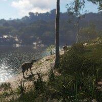 theHunter: Call of the Wild™ - Emerald Coast Australia Update Download