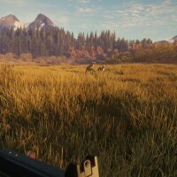 theHunter: Call of the Wild™ - Hunter Power Pack Repack Download