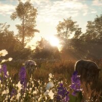 theHunter: Call of the Wild™ - Mississippi Acres Preserve Torrent Download