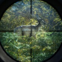 theHunter: Call of the Wild™ PC Crack
