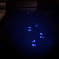 THIEF'S SHELTER Update Download