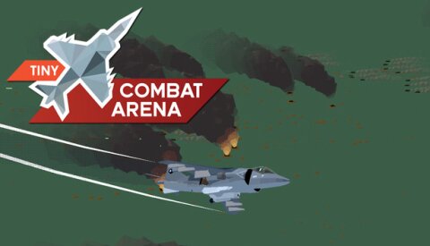 Tiny Combat Arena Free Download