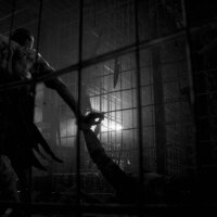 TORMENTOR Update Download