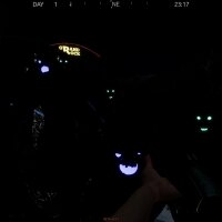 TRAPPED Repack Download