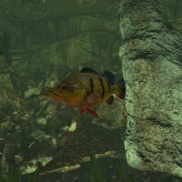 Ultimate Fishing Simulator - Aquariums DLC Update Download