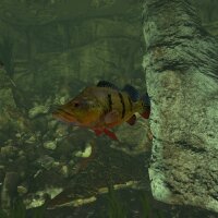 Ultimate Fishing Simulator - Aquariums DLC Free Download » ExtroGames