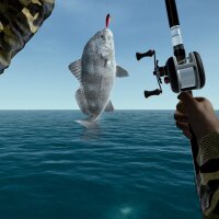 Ultimate Fishing Simulator - Florida DLC Torrent Download