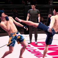 Ultimate MMA Torrent Download